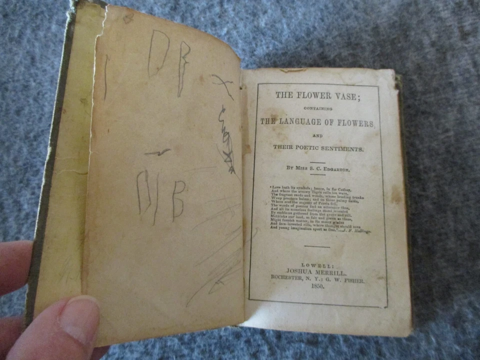 СТАРИННЫЙ 1850 ЦВЕТОК ВАЗА ЯЗЫК ЦВЕТОВ ПОЭТИЧЕСКИЕ ЧУВСТВА КНИГА EDGARTON - Изображение 4 из 4