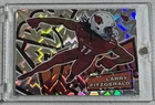 2025 Panini Absolute Countdown Calendar Larry Fitzgerald Base (RAW)