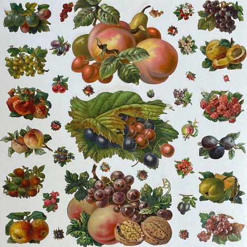 Oblaten Glanzbild scrap Obst 15cm Früchte Kirsche Traube Pfirsich Nuss Beeren