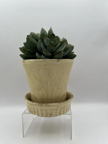 McCoy Pottery Planter W Saucer Vintage Flower Pot Cream Tulips