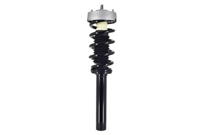 For BMW 2014-2019 Shock / Strut & Coil Spring Assembly FRONT (1) FCS Auto Parts