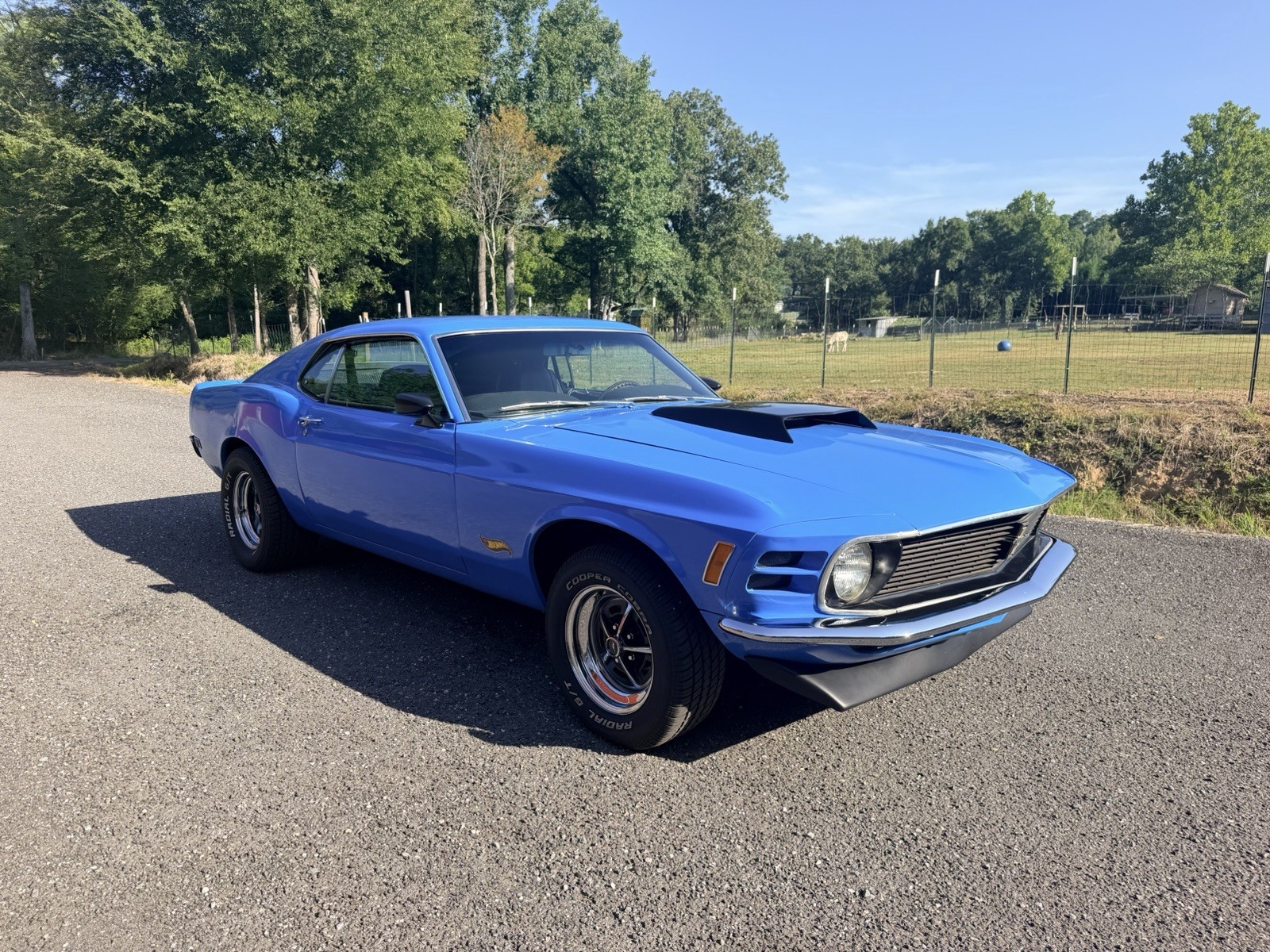1970 Ford Mustang for sale in Hot Springs National Park Arkansas