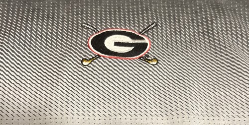 Nike Tour Performance Georgia Bulldogs Golf Men’s Polo Shirt Gray Size XXL - 第 2/7 張圖片