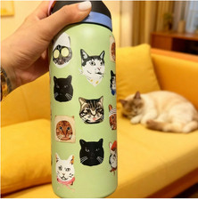 Owala 32oz FreeSip Water Bottle Cat Collage Catwala Urban Outfitters Exclusive