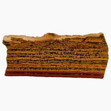 Apple Valley Jasper Slab - Sparkly Stromatolite Colonies - Sahara Morocco