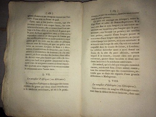 PORC. CHARCUTERIE. MEMOIR AN DIE ERZIEHUNG UND BESCHÄFTIGUNG VON SCHWEINEN.1814. - Bild 2 von 9