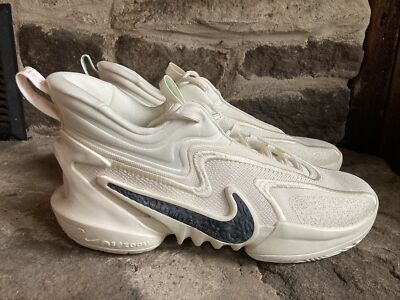 Nike Cosmic Unity 2 Coconut Milk Basketball Shoes DH1537-100 Men's