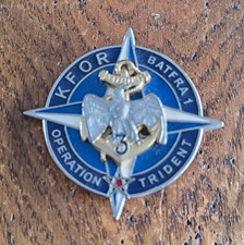 Insigne  3° RIMA KFOR BATFRA 1 Opération Trident / Matricule / Sheli /EE25