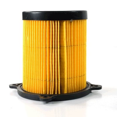 LEXMOTO MICHIGAN 125 AIR FILTER - GENUINE OEM PART - BRAND NEW
