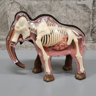 4D Master $D Vision Woolly Mammoth Anatomy Model STEM Master Sculpturing Parts