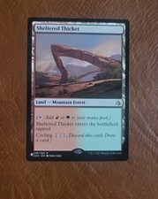 NM Sheltered Thicket 248/269 THE LIST REPRINT Amonkhet AKH