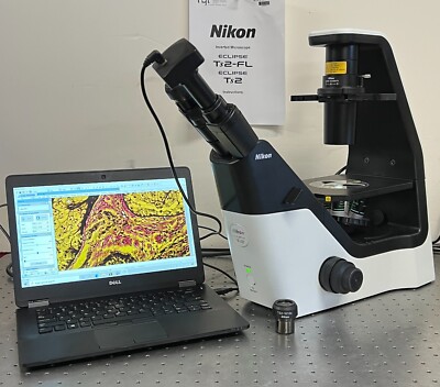 Nikon TS 2 Inverted Phase Contrast Microscpe