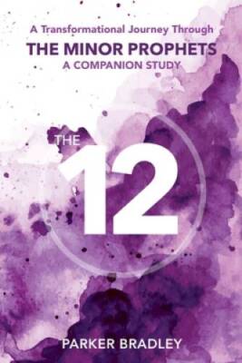 The Twelve: A Transformational Journey Through The Minor Prophets A Compa - GOOD