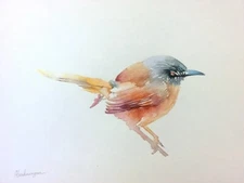 Fairy-wren, Watercolor artwork, Handmade, Original painting on paper