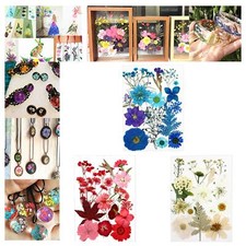 Dried Pressed Flowers Real Petal for Crafts Epoxy Resin Filling Jewelry Art