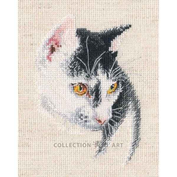 "Rto Kreuzstich Stickpackung \"Faszinierend\", ZäHlmuster, 8,5X12Cm"-image