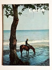 Leica Photography Magazine Vol. 19 1 1966 Vintage Leitz Cameras Illustrated VG