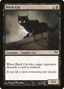 Black Cat 54/158 Dark Ascension Magic: The Gathering Common