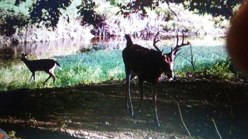 Wildgame Innovations Cloak MP Trail Camera K8i5b for sale online