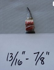 One 13/16” -7/8” Wild Turkey Spur