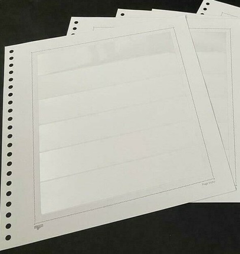 PATIKIL 5 Fogli Porta Banconote Per Album – 2 Tasche Trasparenti Per Raccoglitore A 9 Anelli, Protezione Per Banconote, Francobolli, Cartoline