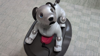 Sony AIBO ERS-1000 AI Robot Dog Entertainment Companion Ivory White