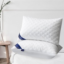 Queen Size Set of 2/4 Pillows for All Sleepers, 900g Soft Hotel Bed Pillows