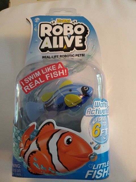 robo alive clownfish