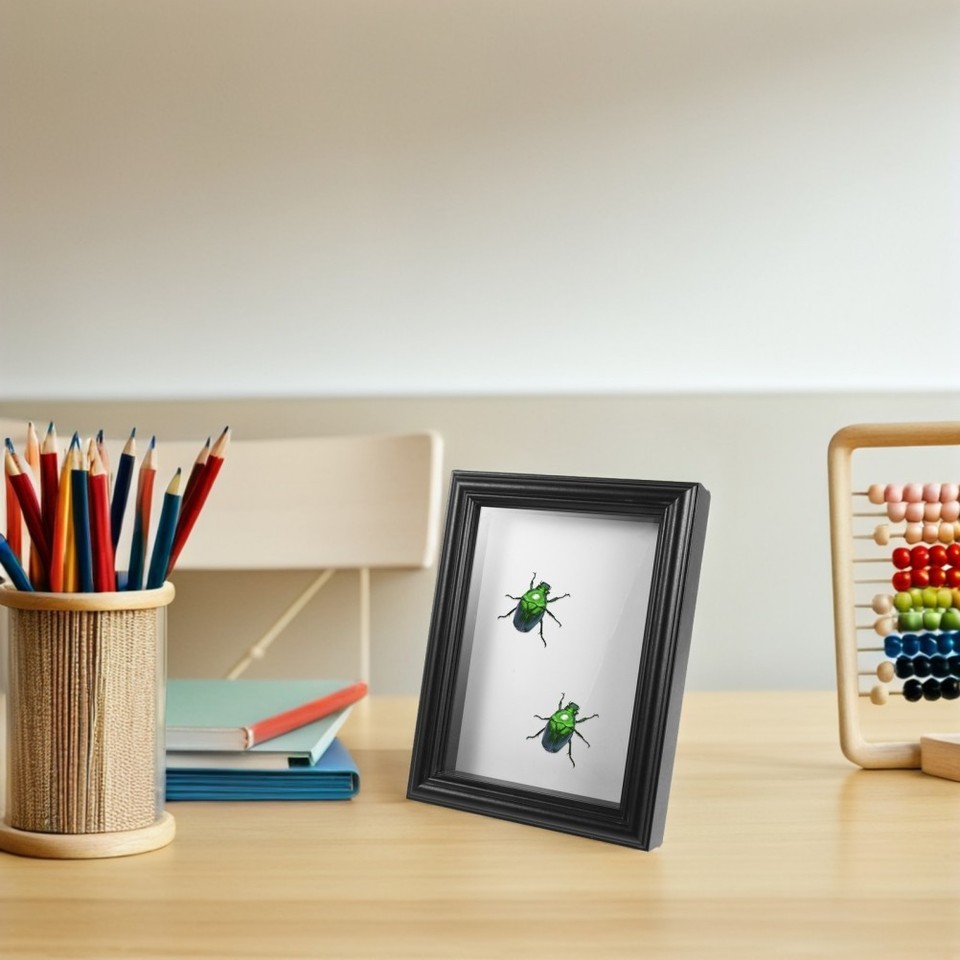 Rectangle Deep Shadow Box Display Box: 7 Inch Specimen Shadow Frame Rectangle Shadow Box For ...