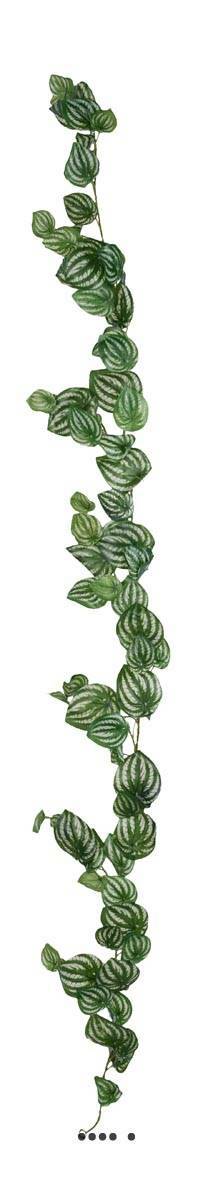 Guirlande Peperomia factice ramifiée 180cm pour cacher des câbles et décorer