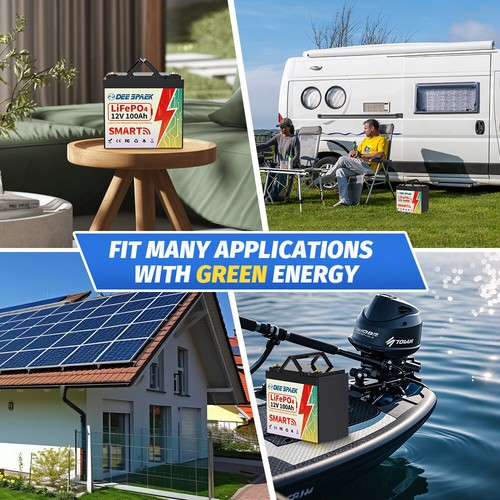 12/24V 36/48V 100Ah 200Ah 300Ah LiFePO4 Lithium Battery Bluetooth Solar Off-grid - Picture 13 of 84