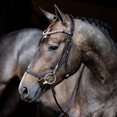 'Amber' Anatomic Leather Bridle (Euro Version) Clearance - Picture 10 of 13