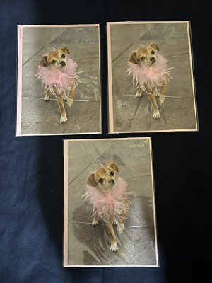 New Papyrus Lot Of 3 Valentine's Day Cards Pink  Feathers Boa Dog  General Love