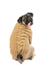 Camel Alpaca Cable Knit Dog Sweater Chilly Dog Hand Knit Wool XXS-XXXL Puppy