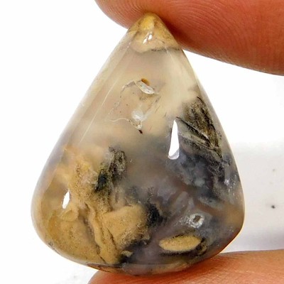 35,80Cts. 100 % natürlicher einzigartiger Tiger dendritischer Achat Birne...