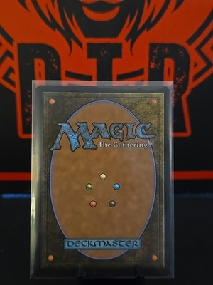 NM-Mint, English MTG Foil Swamp (0191) - Foil Marvel's Spider-Man