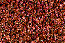 1968-1970 Dodge Coronet Molded Carpet Kit 4 Speed Choose Color 80/20 Loop ACC - Picture 13 of 14
