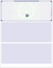 Blank Hologram Premium Computer Checks, Top High Security Laser Checks 25-100 pk