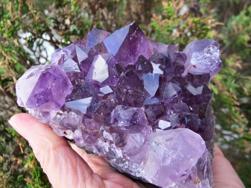Amethyst Crystal Healing Natural Dark two tone intuition Immune polished raw 539
