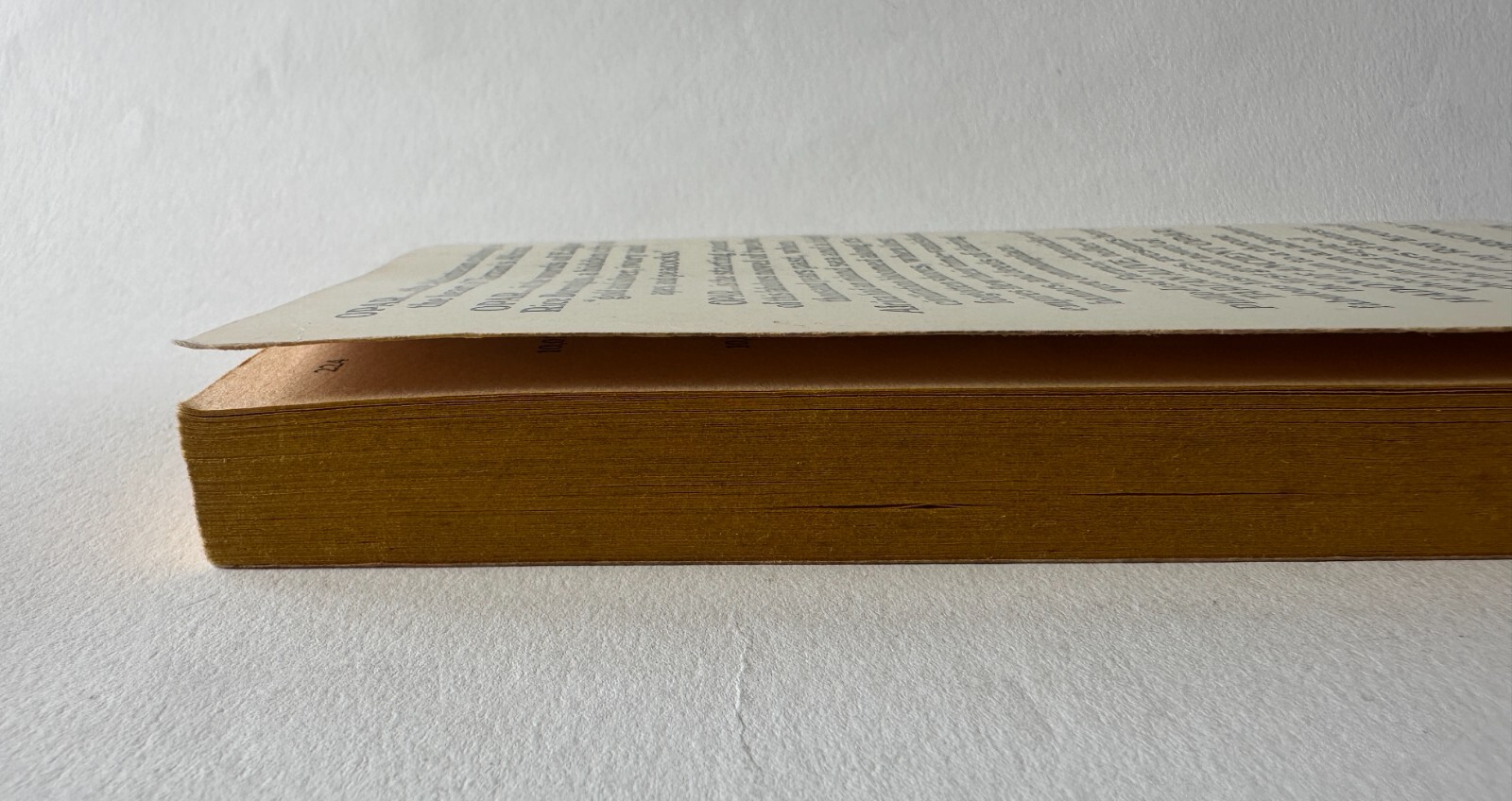 Picture 6 of 10