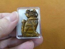 (ann-cat-5) brown tigers eye Cat gemstone car...