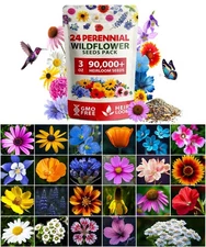 𝗨𝗦𝗔 𝗣𝗥𝗘𝗠𝗜𝗨𝗠 90,000+ Wildflower Seeds Mix 3oz 24 Varieties Non-GMO P...