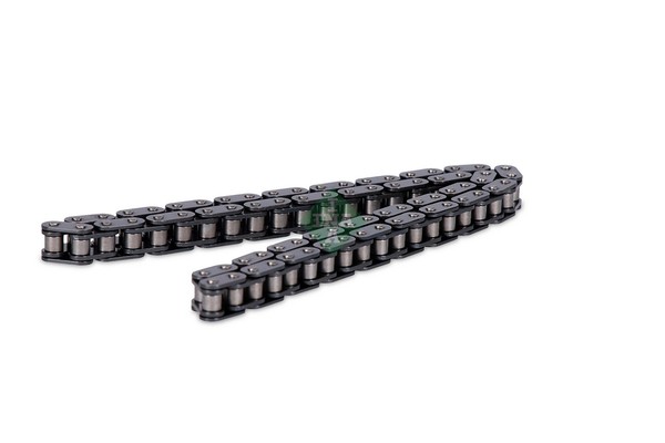 Steuerkette Schaeffler INA 553 0251 10 FüR A6 A8 VW Audi R8 A5 Q7 Touareg 7LA C6-image