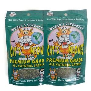 dollar tree catnip