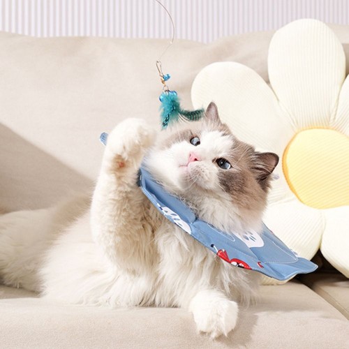 Adjustable Cat Protection Collar Pet Cone Collar for Cats Kitten - Picture 6 of 13