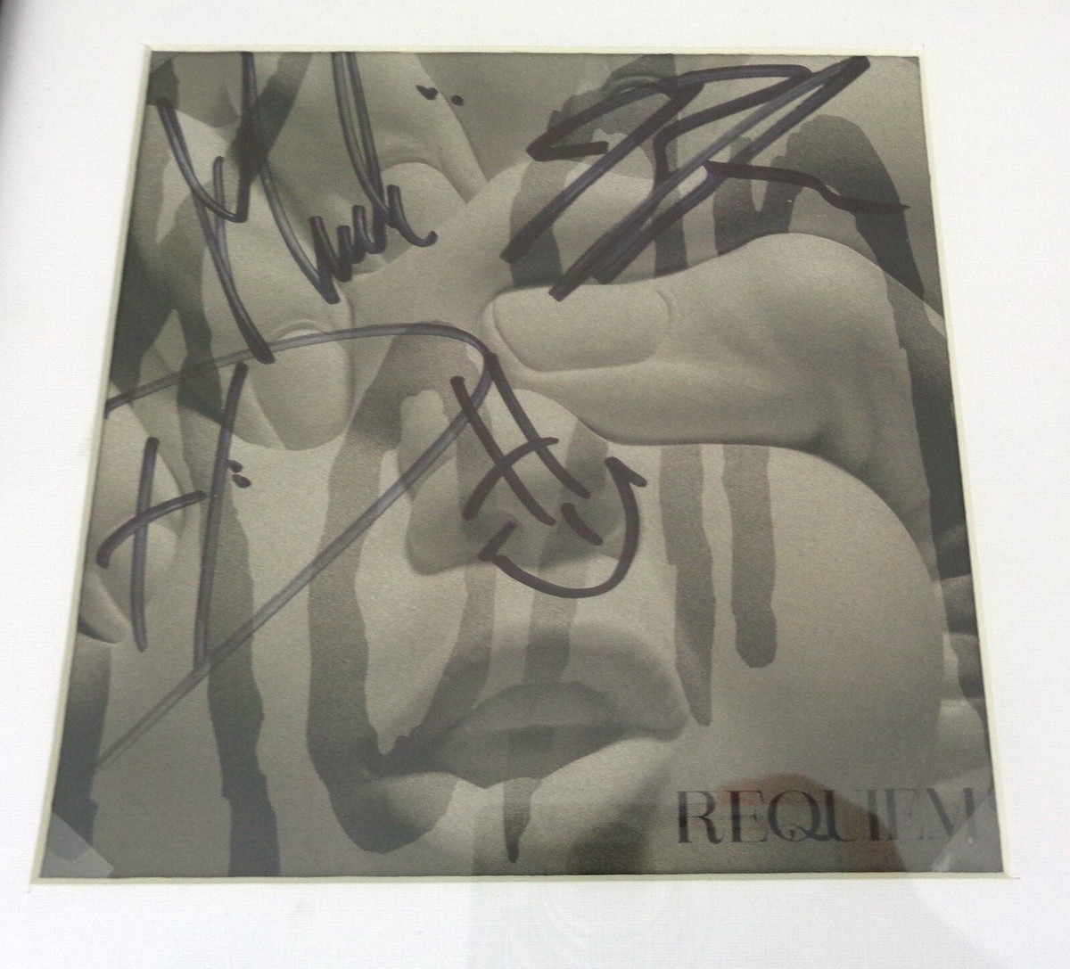 Korn Band Signed Autograph Requiem CD Framed PSA/DNA COA | eBay