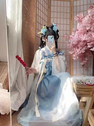 Tang Dynasty Skirt Improved Floral Printed Dresses for Chinese Traditional Hanfu