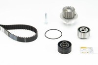 Continental Ctam CT906WP1 Wasserpumpe + Zahnriemensatz FüR CitroËN