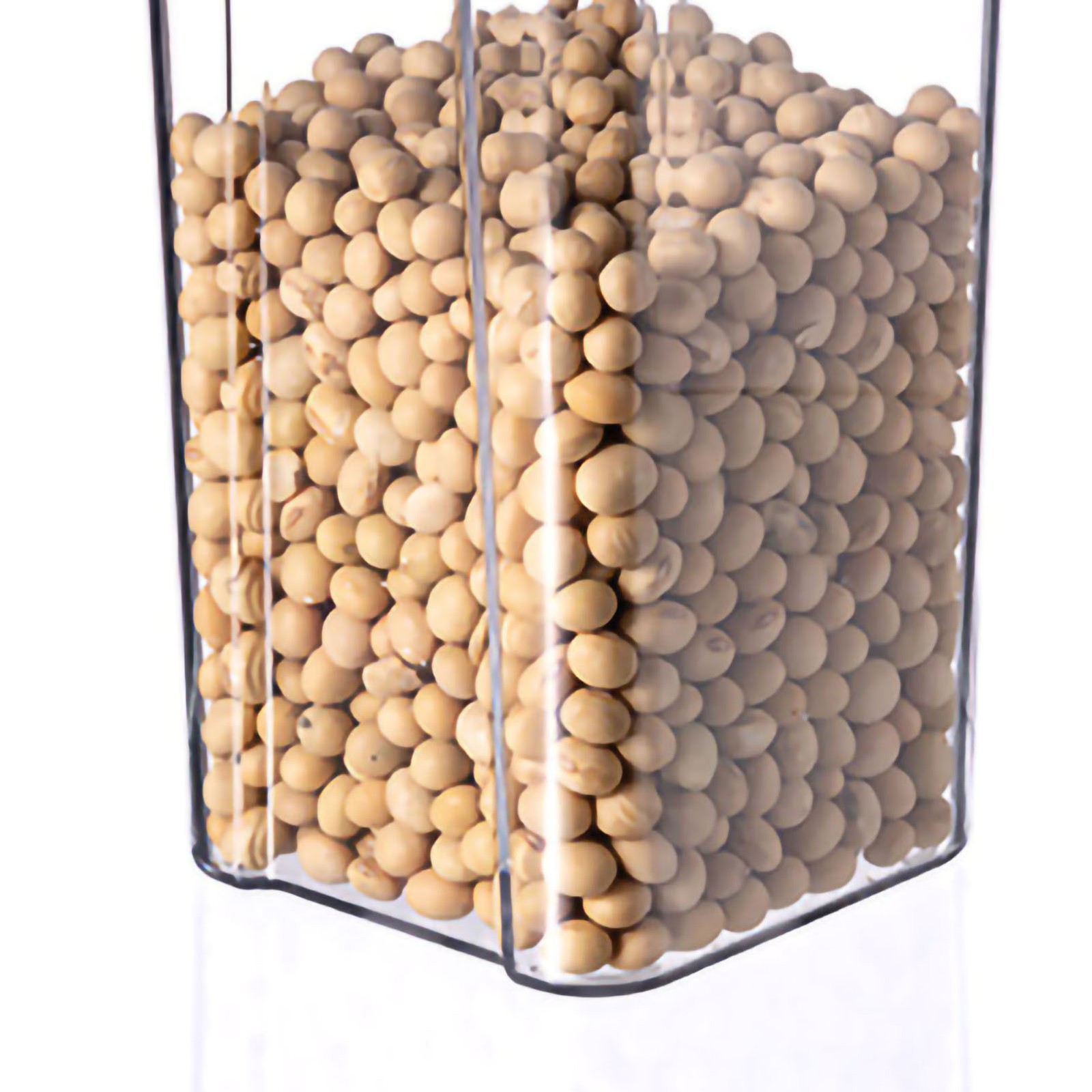 Grains Storage Box Transparent Sealed PET Silicone Food Storage Containers For