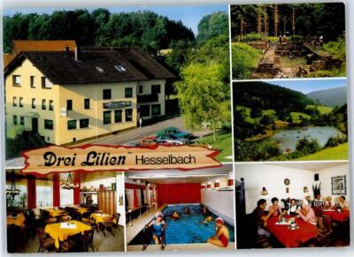 51441379 - 6121 Hesselbach Guest House Pension Three Lilies Swimming Pool